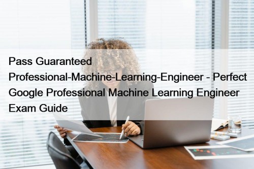 Pass Guaranteed Professional-Machine-Learning-Engineer - Perfect Google Professional Machine Learning Engineer Exam Guide